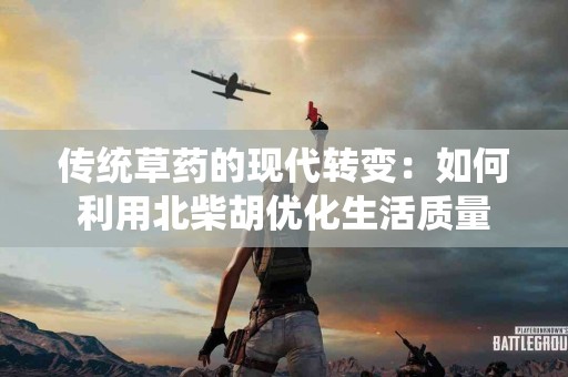 传统草药的现代转变：如何利用北柴胡优化生活质量