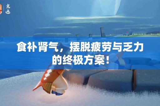 食补肾气，摆脱疲劳与乏力的终极方案！