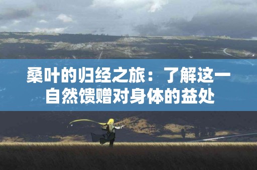 桑叶的归经之旅：了解这一自然馈赠对身体的益处