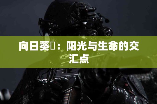 适合新手的TP钱包苹果手机下载攻略