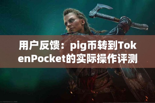 用户反馈：pig币转到TokenPocket的实际操作评测