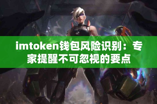 imtoken钱包风险识别：专家提醒不可忽视的要点