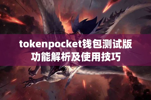 tokenpocket钱包测试版功能解析及使用技巧