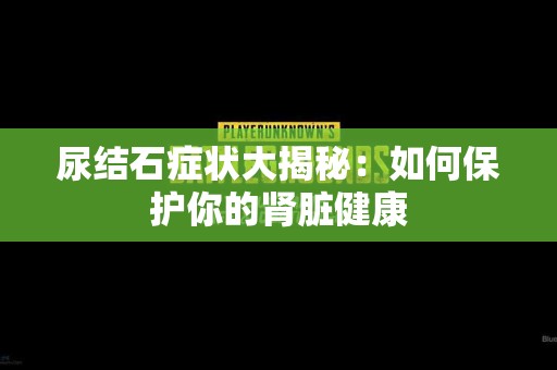 尿结石症状大揭秘：如何保护你的肾脏健康