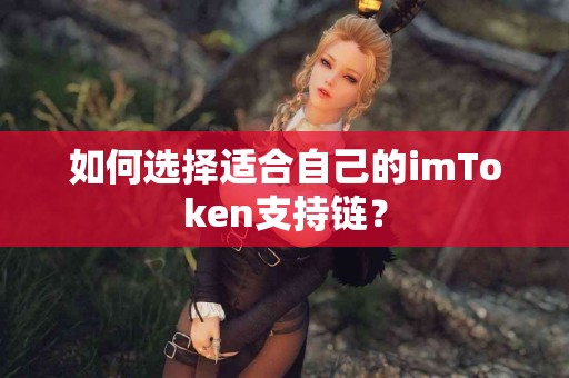 如何选择适合自己的imToken支持链？