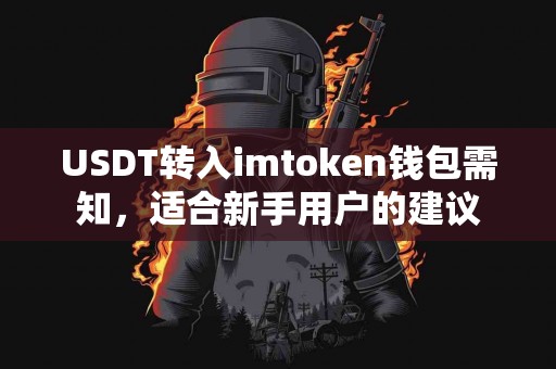 USDT转入imtoken钱包需知，适合新手用户的建议