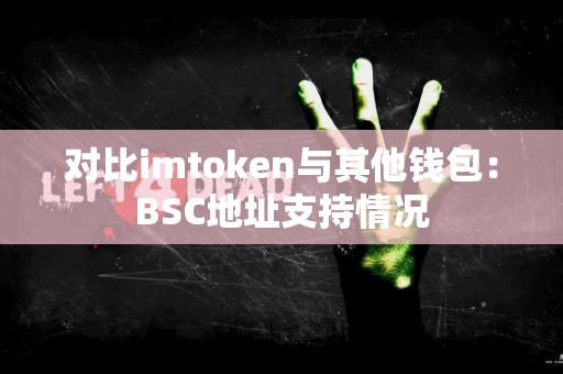 对比imtoken与其他钱包：BSC地址支持情况