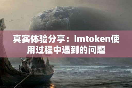 真实体验分享：imtoken使用过程中遇到的问题