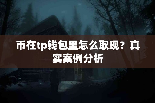 币在tp钱包里怎么取现？真实案例分析