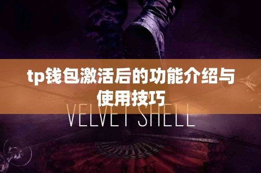 tp钱包激活后的功能介绍与使用技巧
