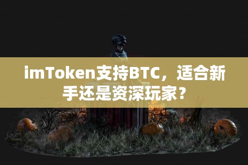 imToken支持BTC，适合新手还是资深玩家？