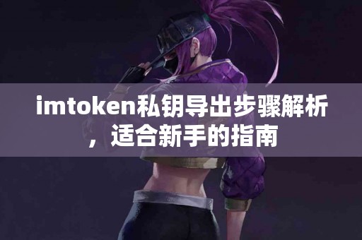 imtoken私钥导出步骤解析，适合新手的指南