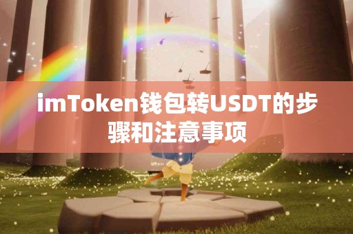 imToken钱包转USDT的步骤和注意事项