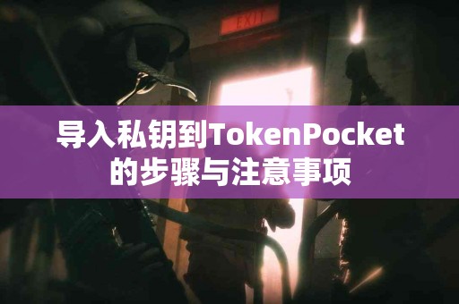 导入私钥到TokenPocket的步骤与注意事项