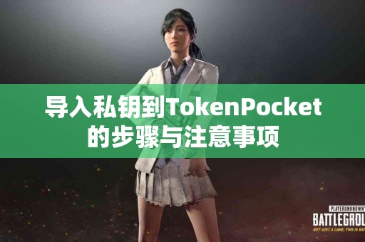 导入私钥到TokenPocket的步骤与注意事项