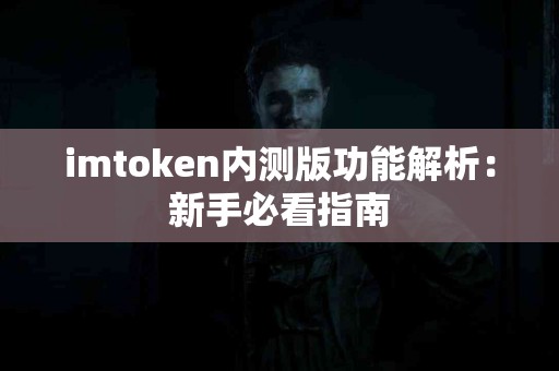 imtoken内测版功能解析：新手必看指南