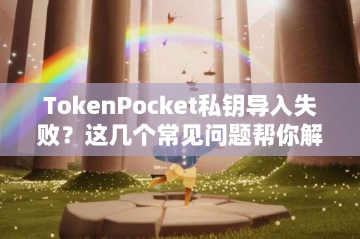 TokenPocket私钥导入失败？这几个常见问题帮你解决
