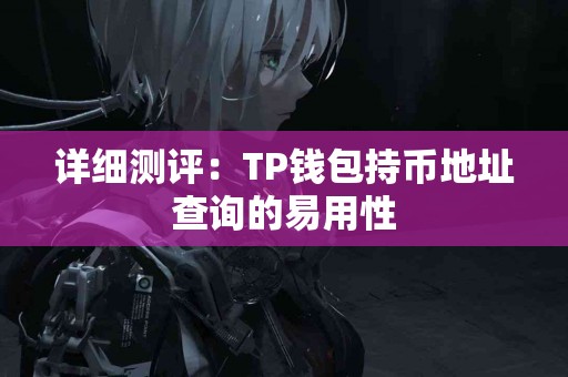 详细测评：TP钱包持币地址查询的易用性