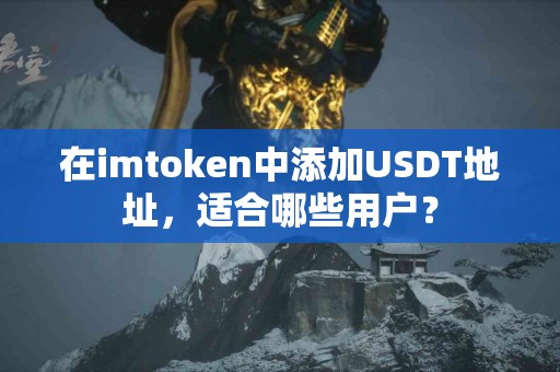 在imtoken中添加USDT地址，适合哪些用户？
