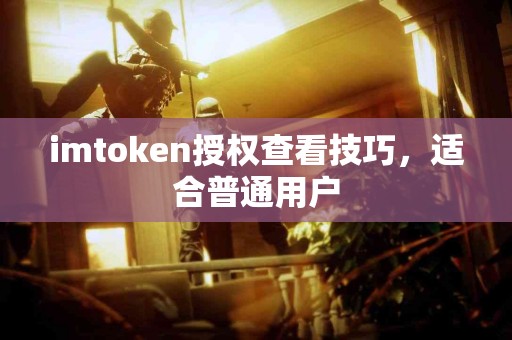 imtoken授权查看技巧，适合普通用户