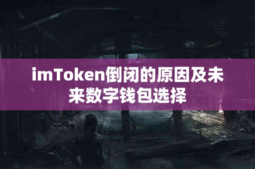 imToken倒闭的原因及未来数字钱包选择