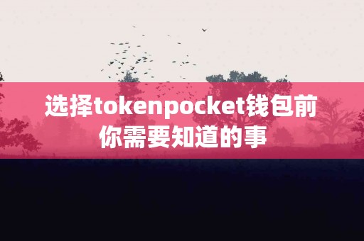 选择tokenpocket钱包前你需要知道的事