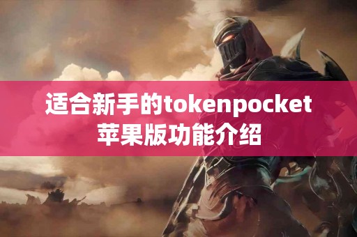 适合新手的tokenpocket苹果版功能介绍