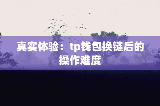 真实体验：tp钱包换链后的操作难度