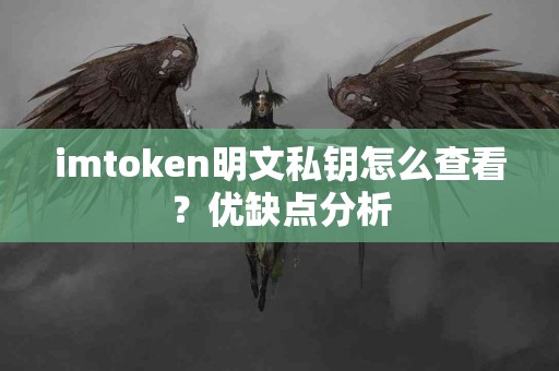 imtoken明文私钥怎么查看？优缺点分析