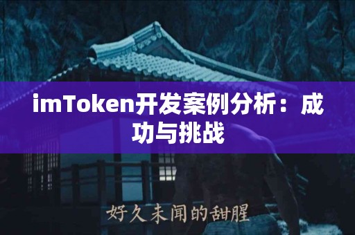 imToken开发案例分析：成功与挑战