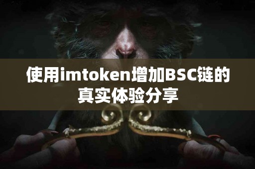 使用imtoken增加BSC链的真实体验分享