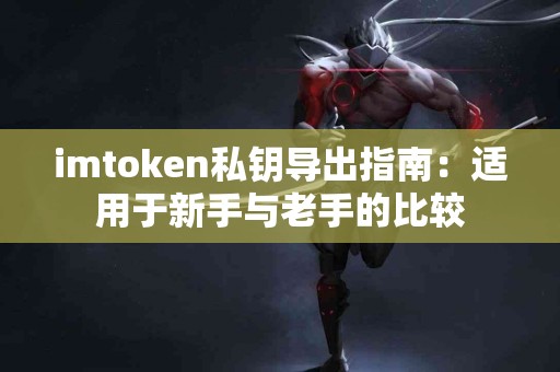 imtoken私钥导出指南：适用于新手与老手的比较