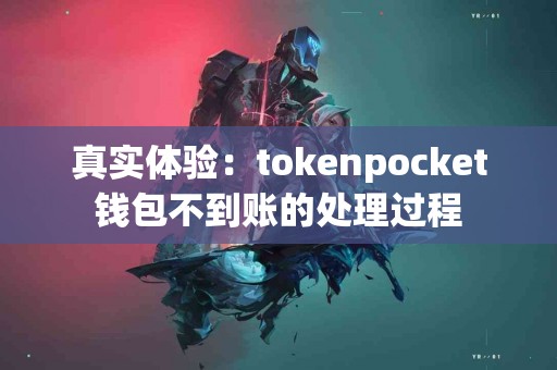 真实体验：tokenpocket钱包不到账的处理过程