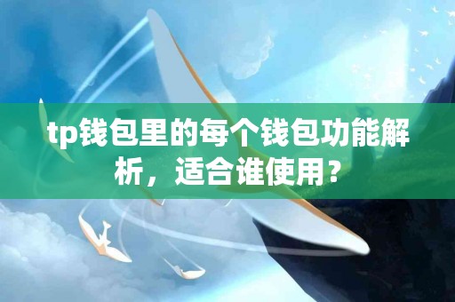 tp钱包里的每个钱包功能解析，适合谁使用？