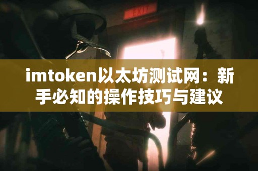 imtoken以太坊测试网：新手必知的操作技巧与建议