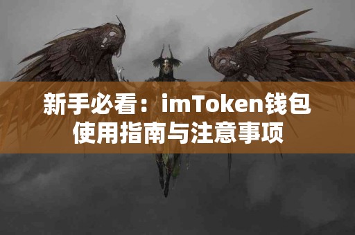 新手必看：imToken钱包使用指南与注意事项