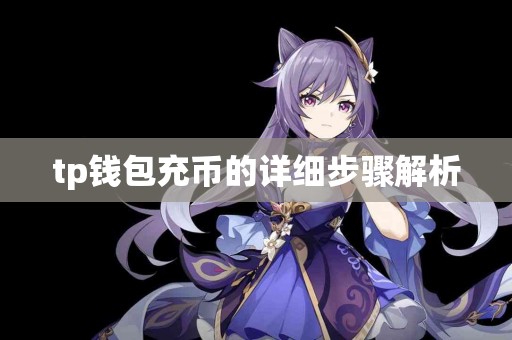 tp钱包充币的详细步骤解析