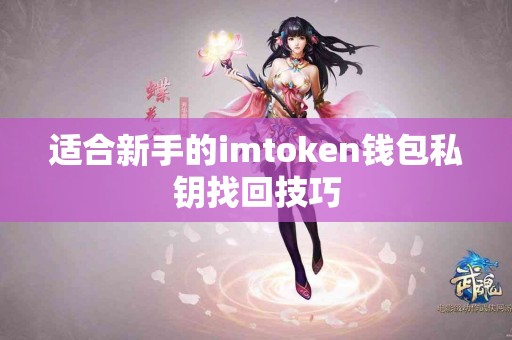适合新手的imtoken钱包私钥找回技巧