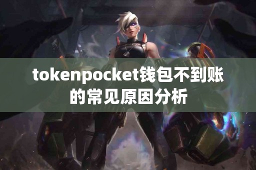 tokenpocket钱包不到账的常见原因分析