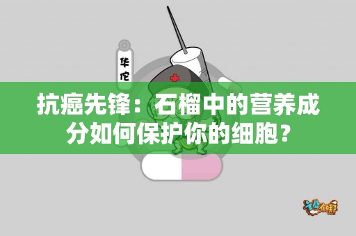 抗癌先锋：石榴中的营养成分如何保护你的细胞？