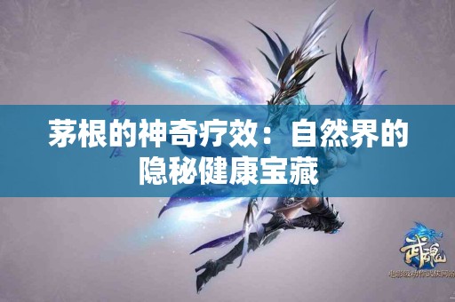 茅根的神奇疗效：自然界的隐秘健康宝藏