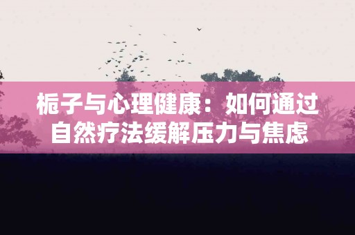 栀子与心理健康：如何通过自然疗法缓解压力与焦虑
